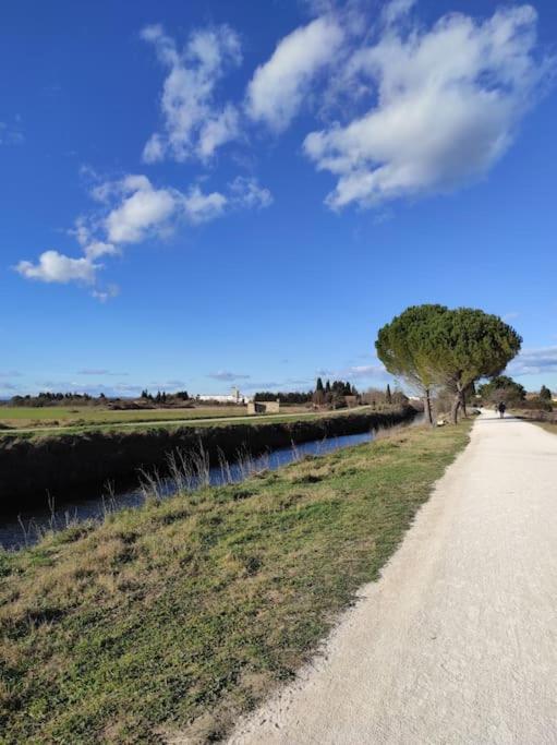 A 10km De La Grande Motte, Palavas... Apartment *
